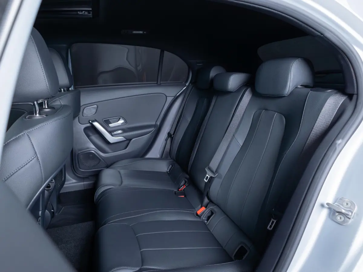 Hatchback 250 e Business Solution Luxury Panorama dak