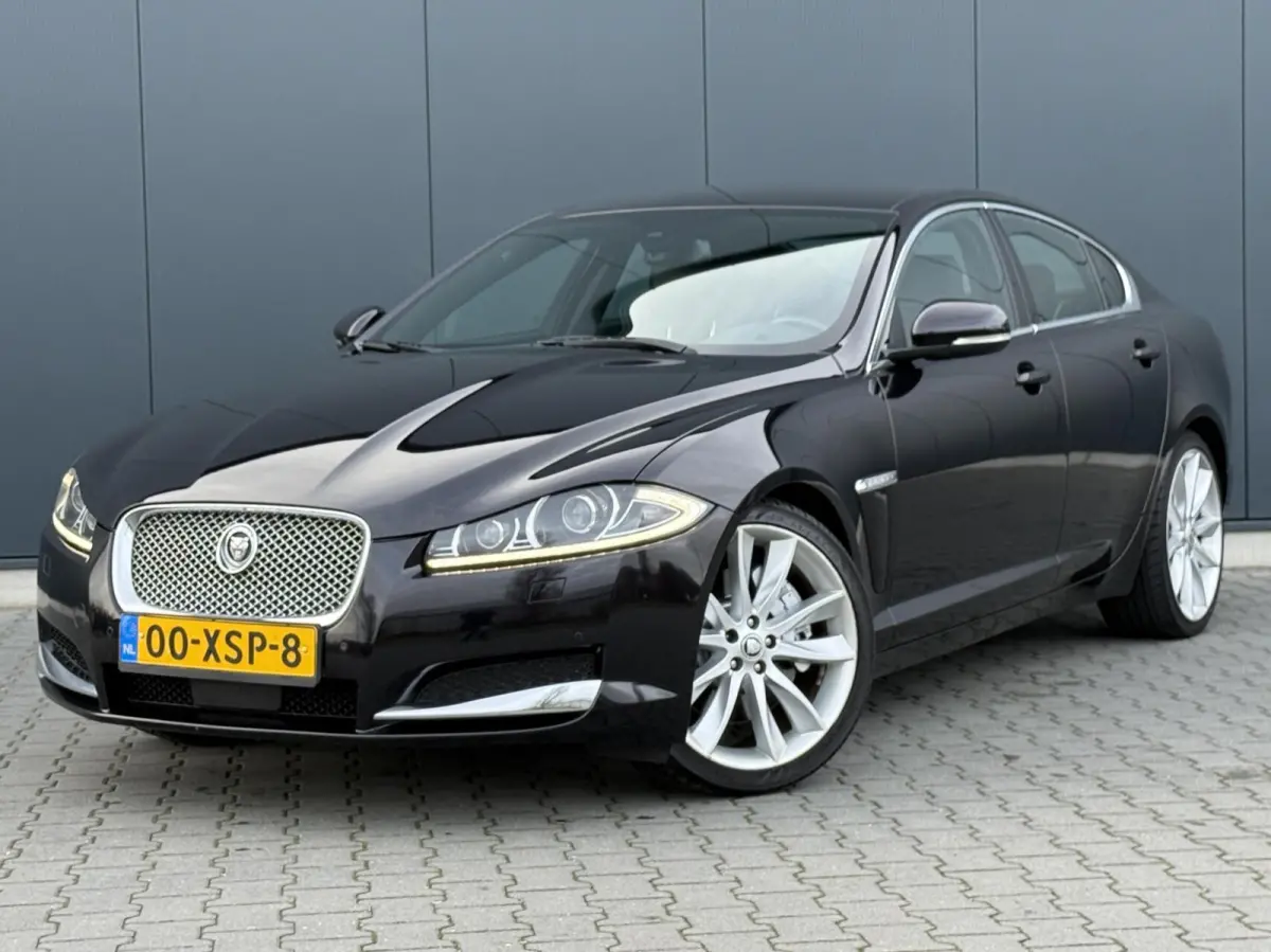 5.0 V8 385PK Portfolio Nieuw Model - Leder - Alcantara Hemel