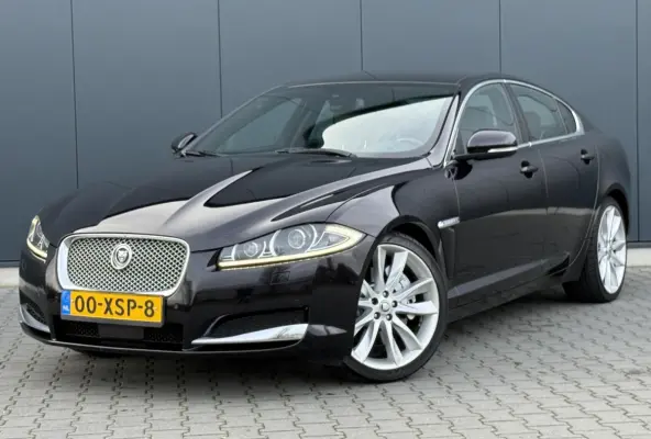 5.0 V8 385PK Portfolio Nieuw Model - Leder - Alcantara Hemel