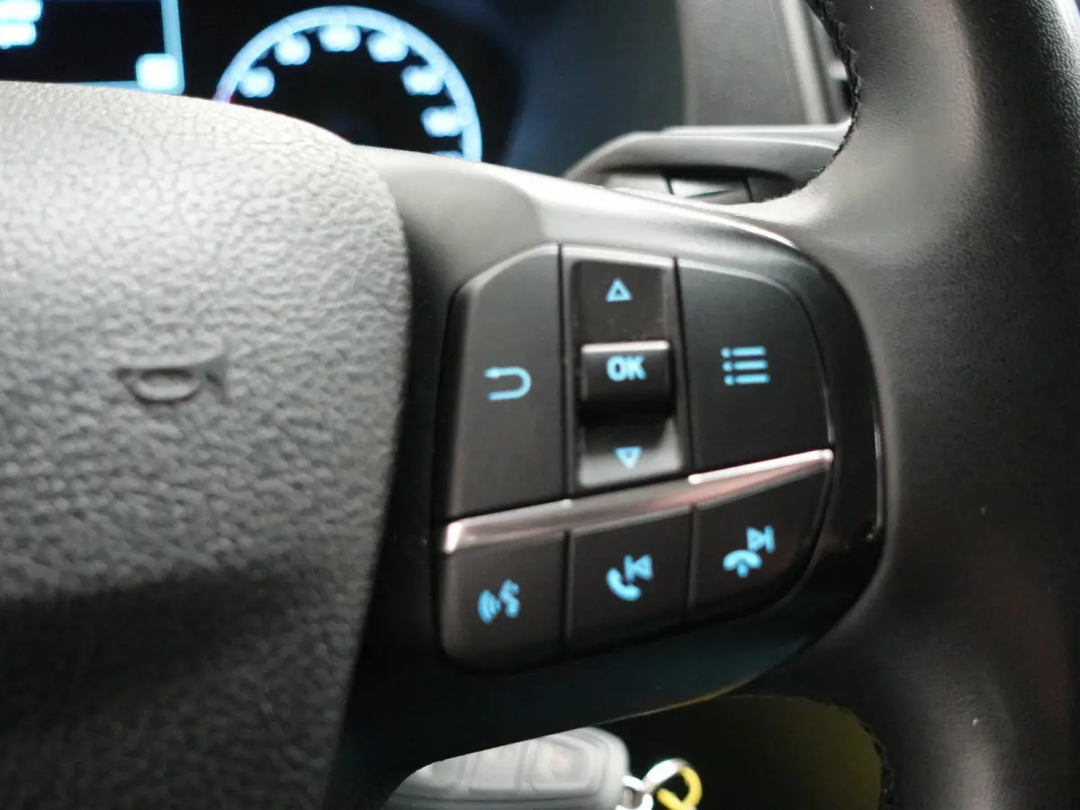 300 2.0 TDCI L2H1 Trend Dubbele Cabine Airco Cruise Control Bluetooth Navi Trekhaak