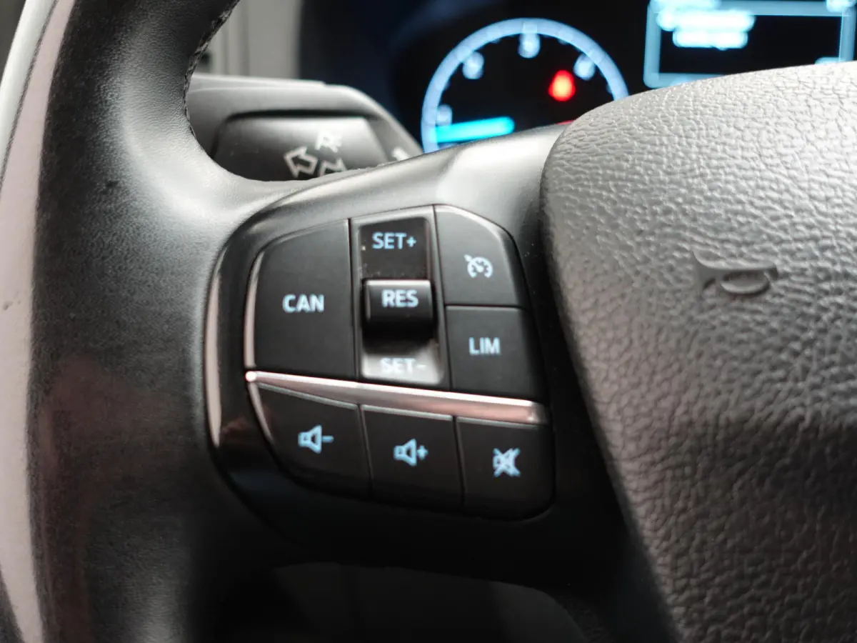 300 2.0 TDCI L2H1 Trend Dubbele Cabine Airco Cruise Control Bluetooth Navi Trekhaak