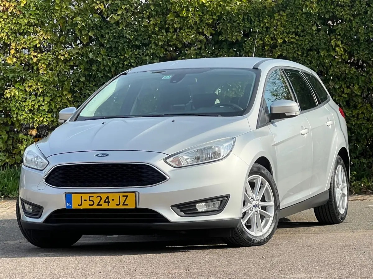 1.0 Titanium 125pk - Moondust Silver - Rijassistensystem/Cruise/Clima