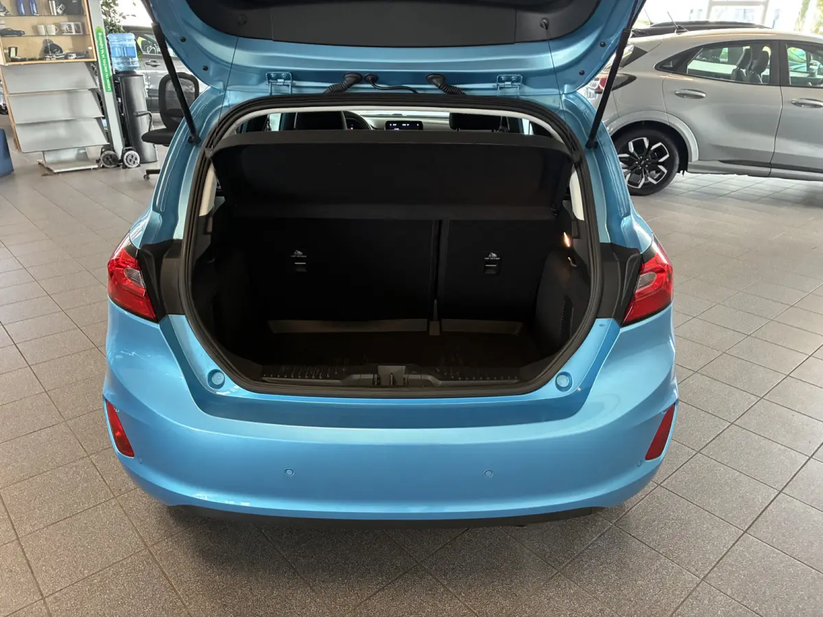 125pk Hybride Titanium MHEV winterpakket-apple carplay-privacyglass