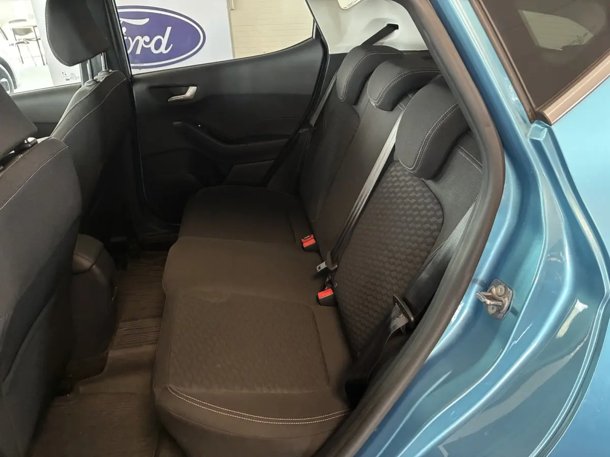 125pk Hybride Titanium MHEV winterpakket-apple carplay-privacyglass