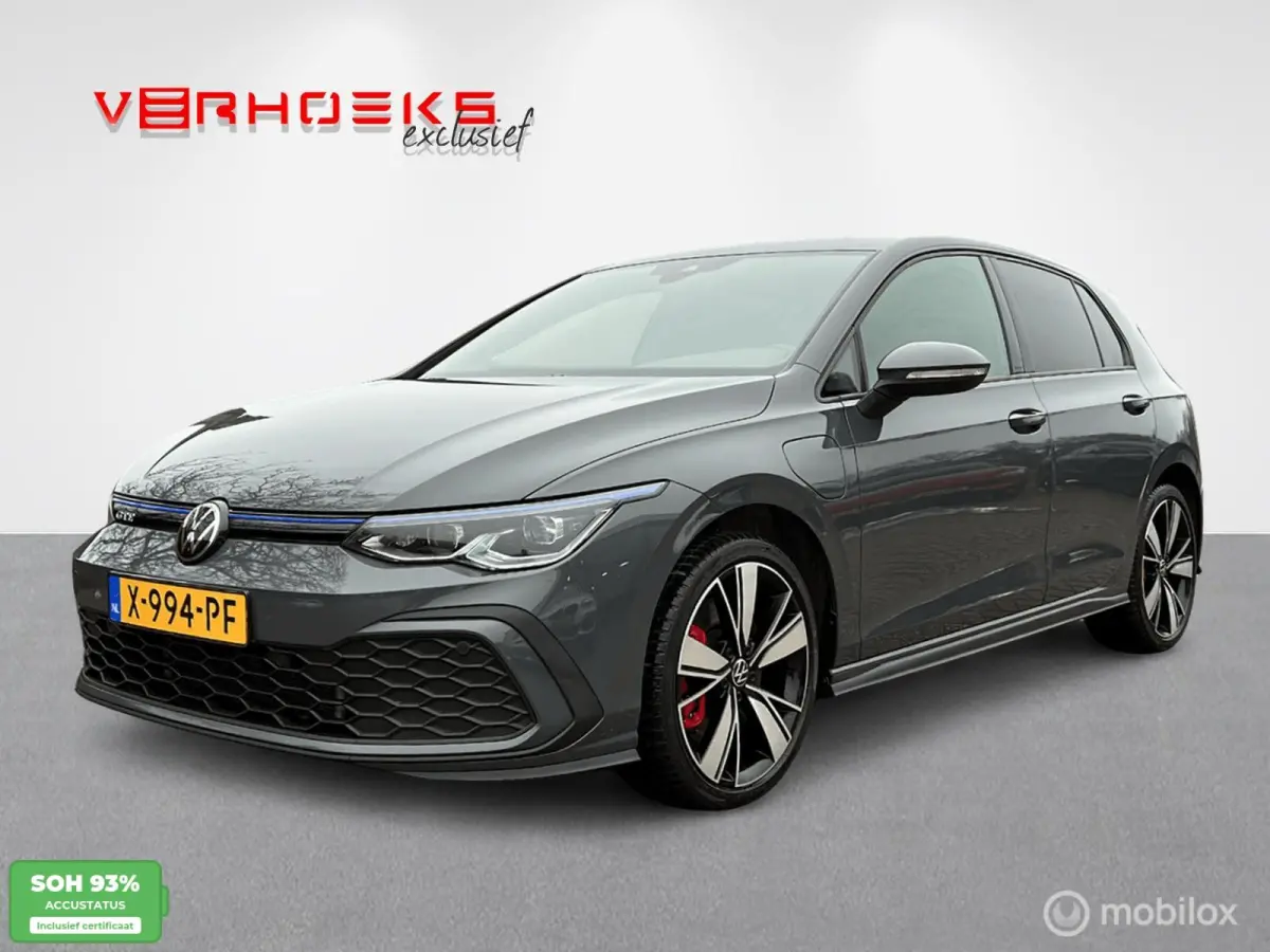 1.4 eHybrid GTE / Leer / ACC / 18" / Memory