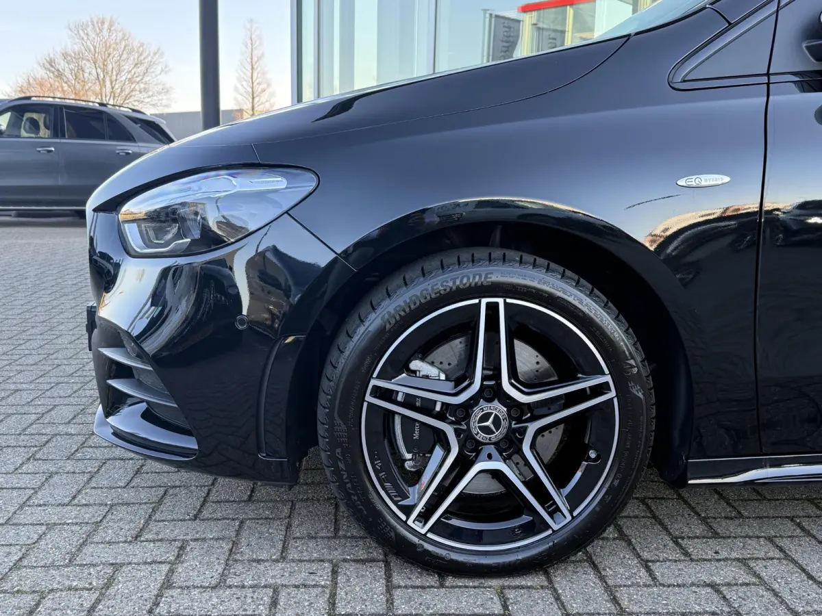 250 e Business Solution AMG Panorama dak