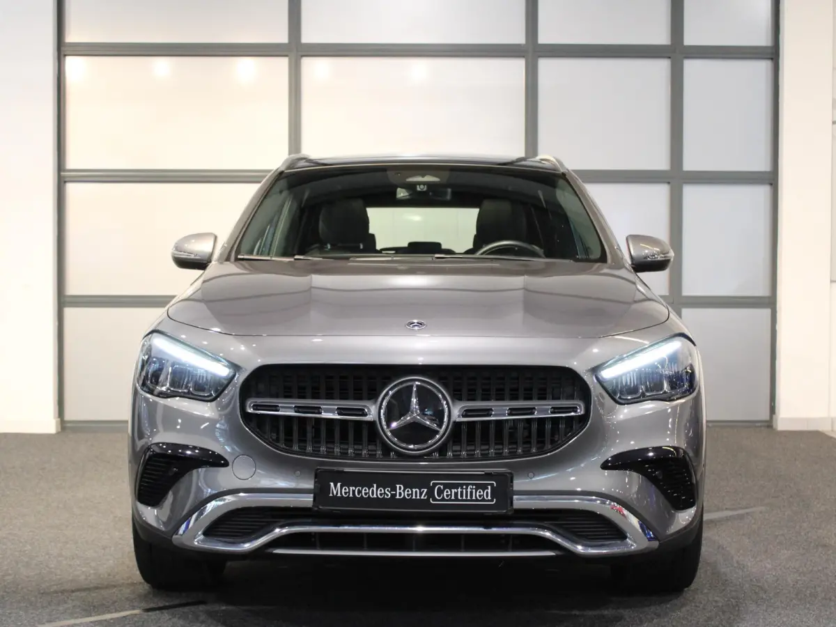 250 e Luxury Line Panorama dak