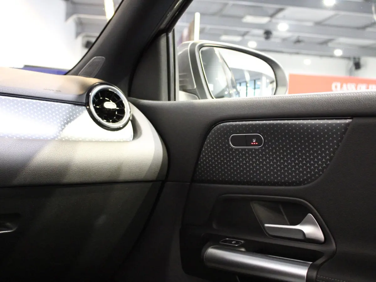 250 e Luxury Line Panorama dak