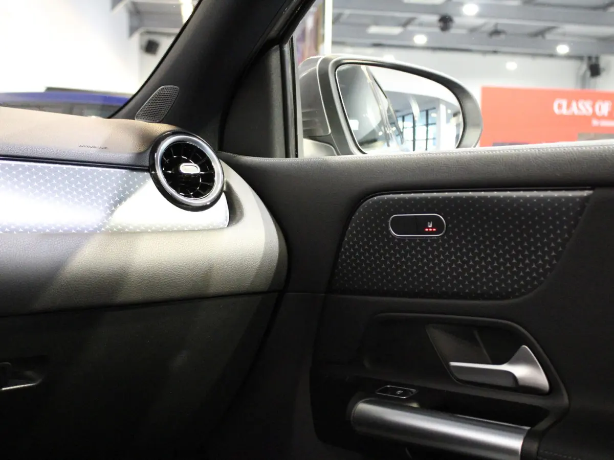 250 e Luxury Line Panorama dak