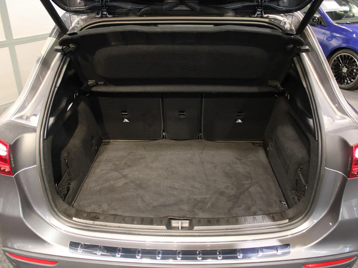 250 e Luxury Line Panorama dak