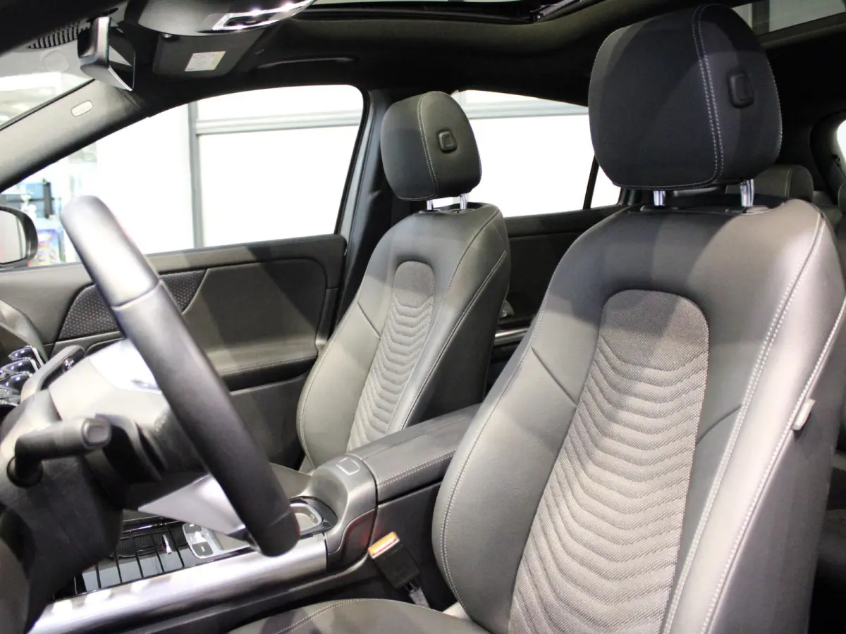 250 e Luxury Line Panorama dak