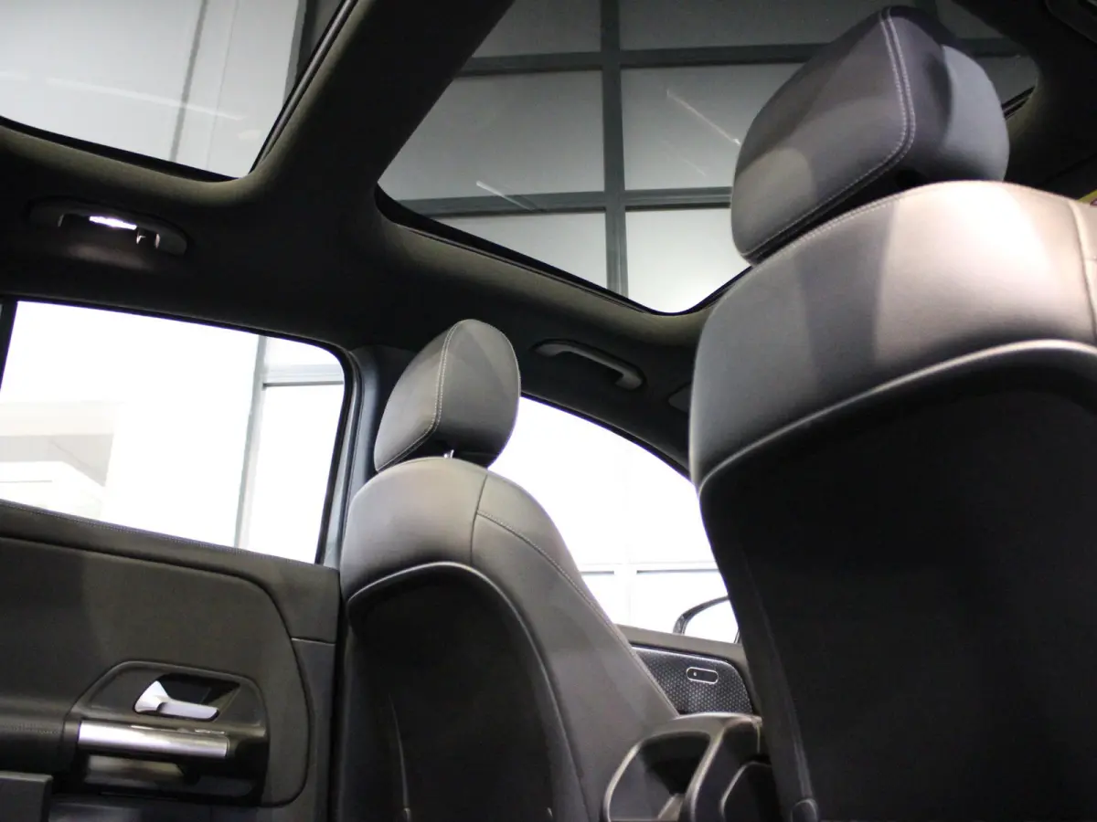 250 e Luxury Line Panorama dak