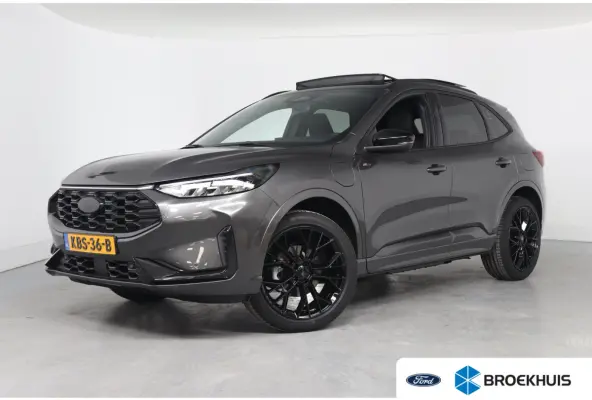 Plug-In Hybrid ST-Line Black Pack | Trekhaak Elek. Wegklapbaar | Elek. Panoramadak | Winter Pack | Driver Assistance Pack |