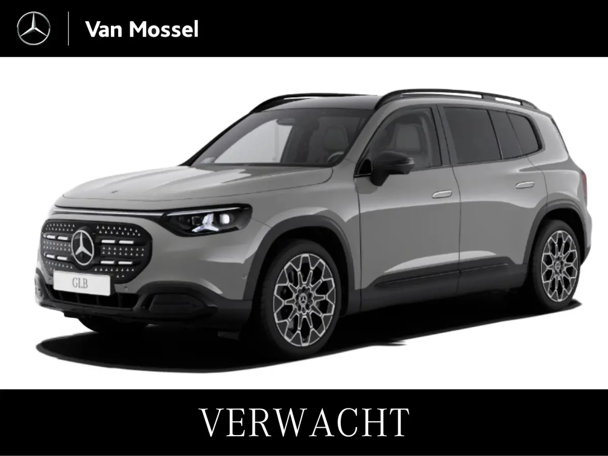 250+ Business Solution Luxury 85.5 kWh Premium Plus - Nightpakket - 360 Graden Camera - Leder - Winterpakket - Head Up Display
