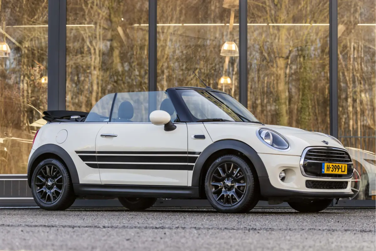 Mini 1.5 Salt