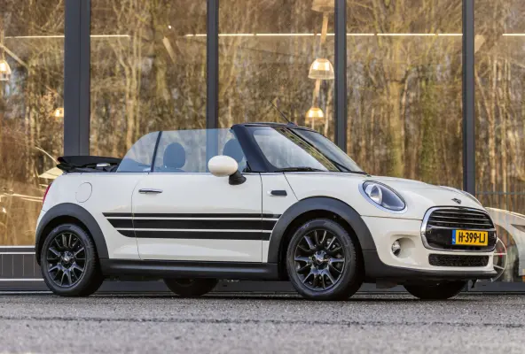 Mini 1.5 Salt