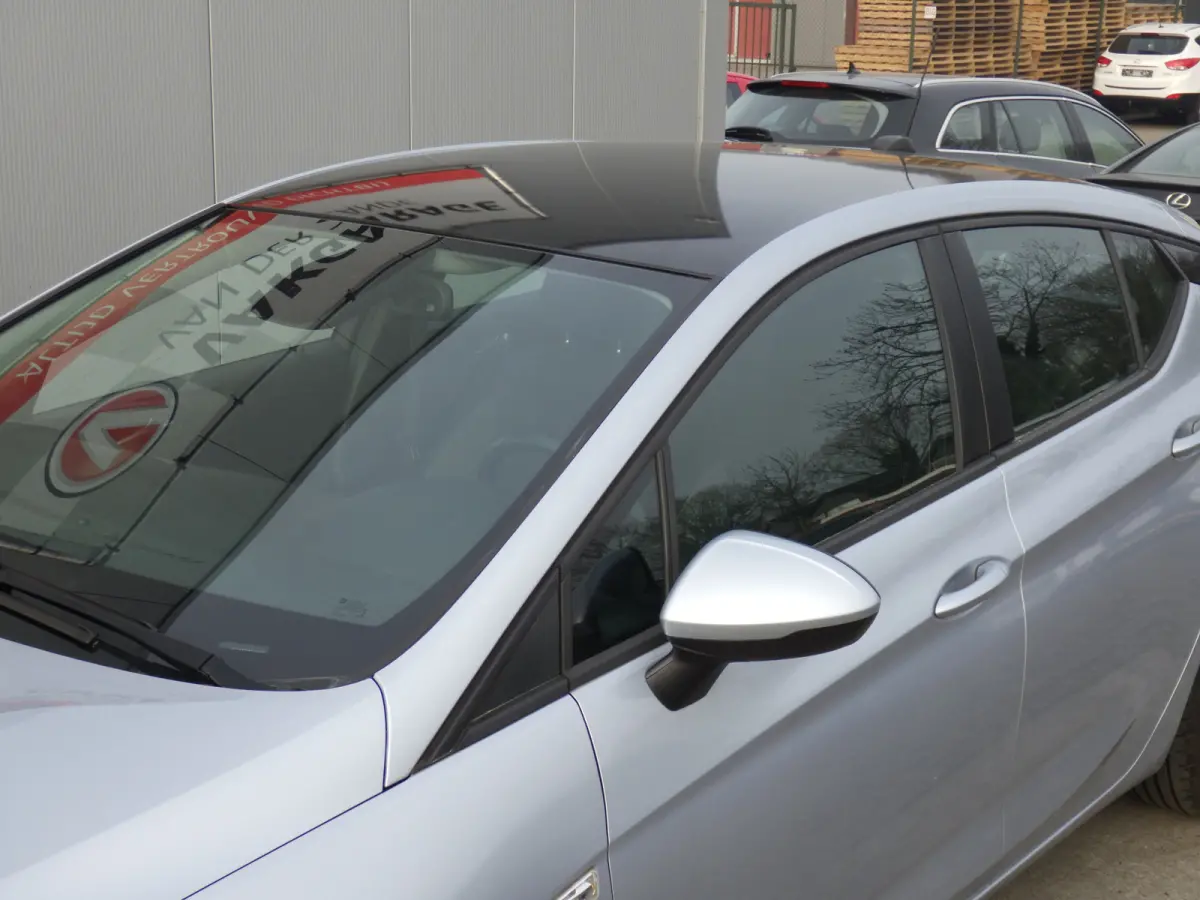 1.2 Business Edition, Cruise Control, Camera, Navi, NL/NAP!