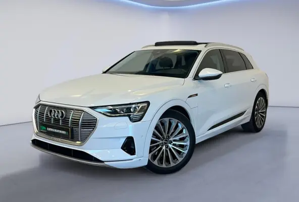 55 quattro Business edition Plus 95 kWh|PANO|INRUIL MOGELIJK