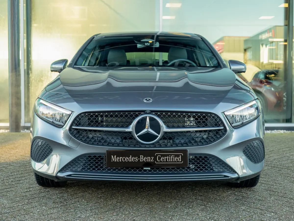 Hatchback 250 e Business Line Panorama dak