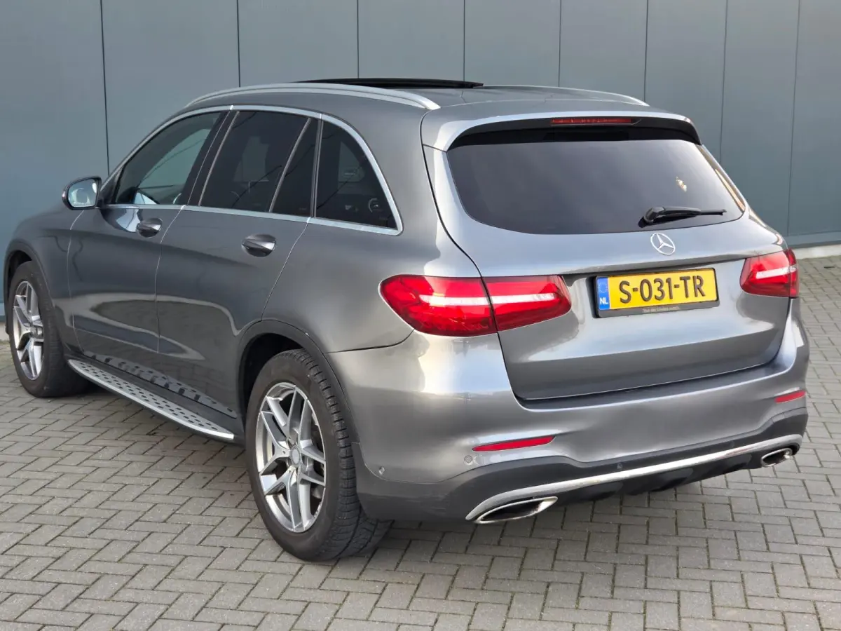 250 4MATIC Edition 1 Panoramadak