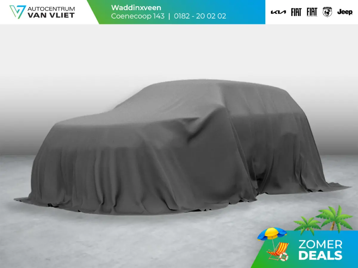 Summit 54 kWh | SOH 96,1% | Infotainment Pack | Bicolore