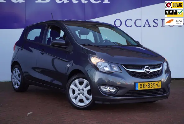 1.0 ecoFLEX Edition / PDC / Cruise / AUTOMAAT / 1EIG / ORIG-NL / MEI ACTIEPRIJS = DEALER ONDERHOUDEN !!