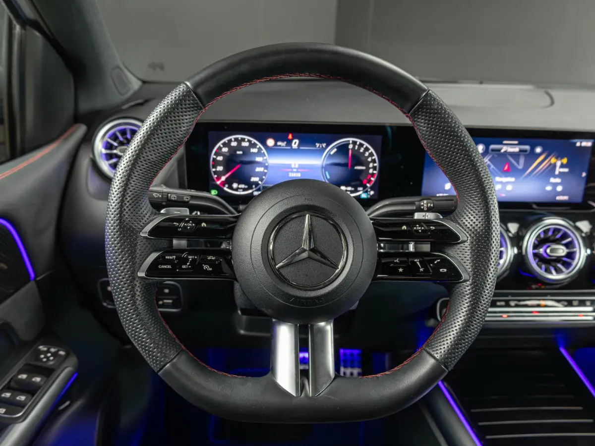 250 e Business Solution AMG Panorama dak