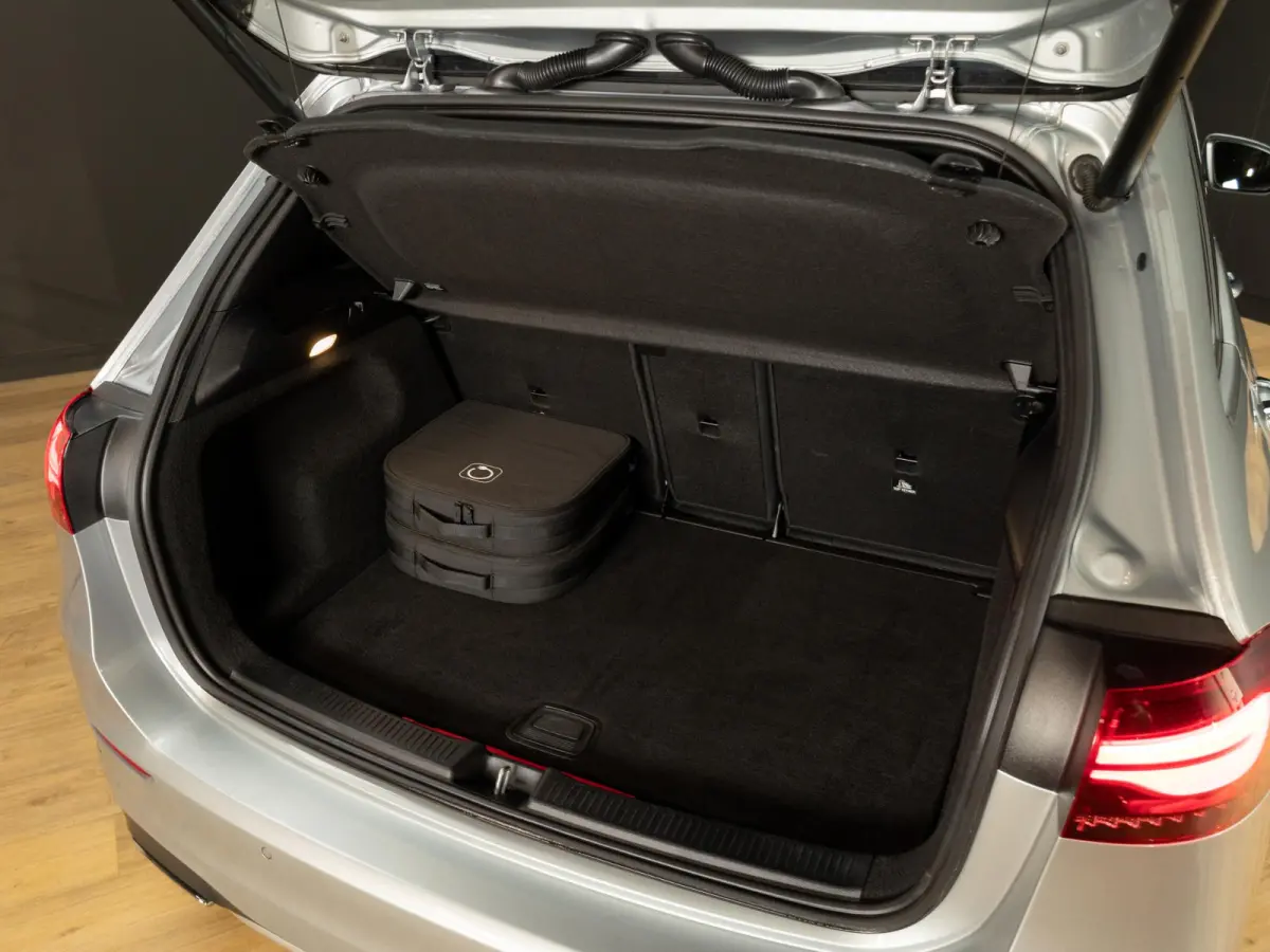 250 e Business Solution AMG Panorama dak