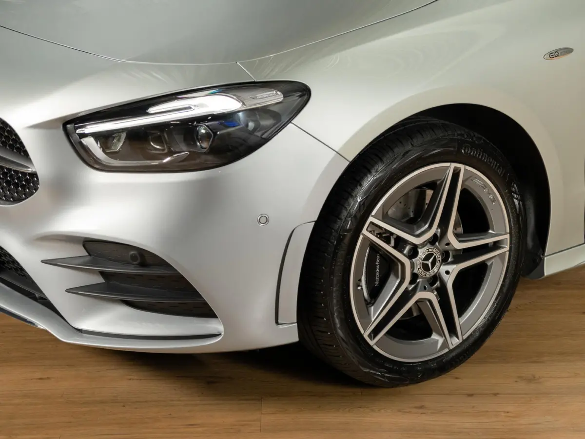 250 e Business Solution AMG Panorama dak