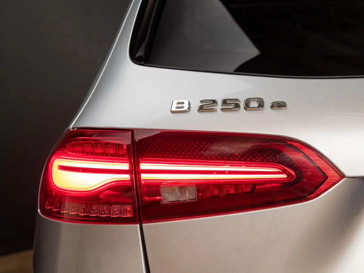 250 e Business Solution AMG Panorama dak