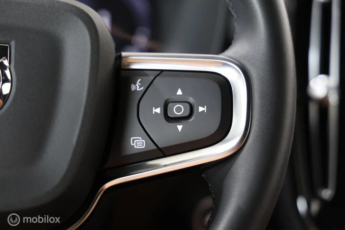 T4 Inscription PHEV-Leder-Adaptieve Cruise-360Camera