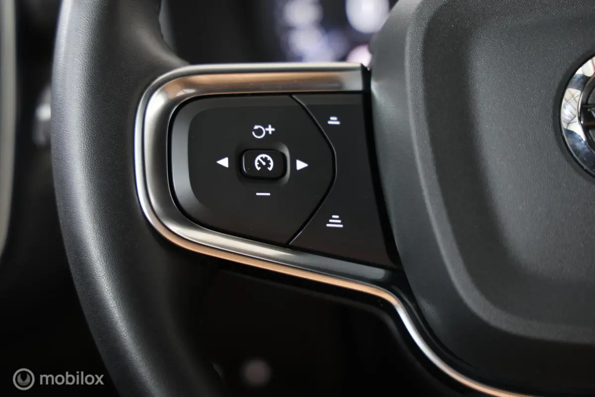 T4 Inscription PHEV-Leder-Adaptieve Cruise-360Camera