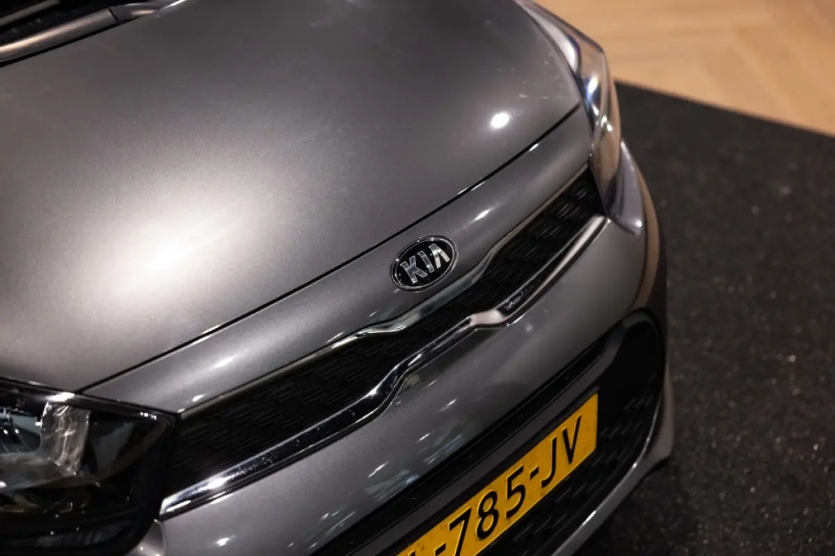 1.0 DPi DynamicLine | Carplay | Camera | Cruise