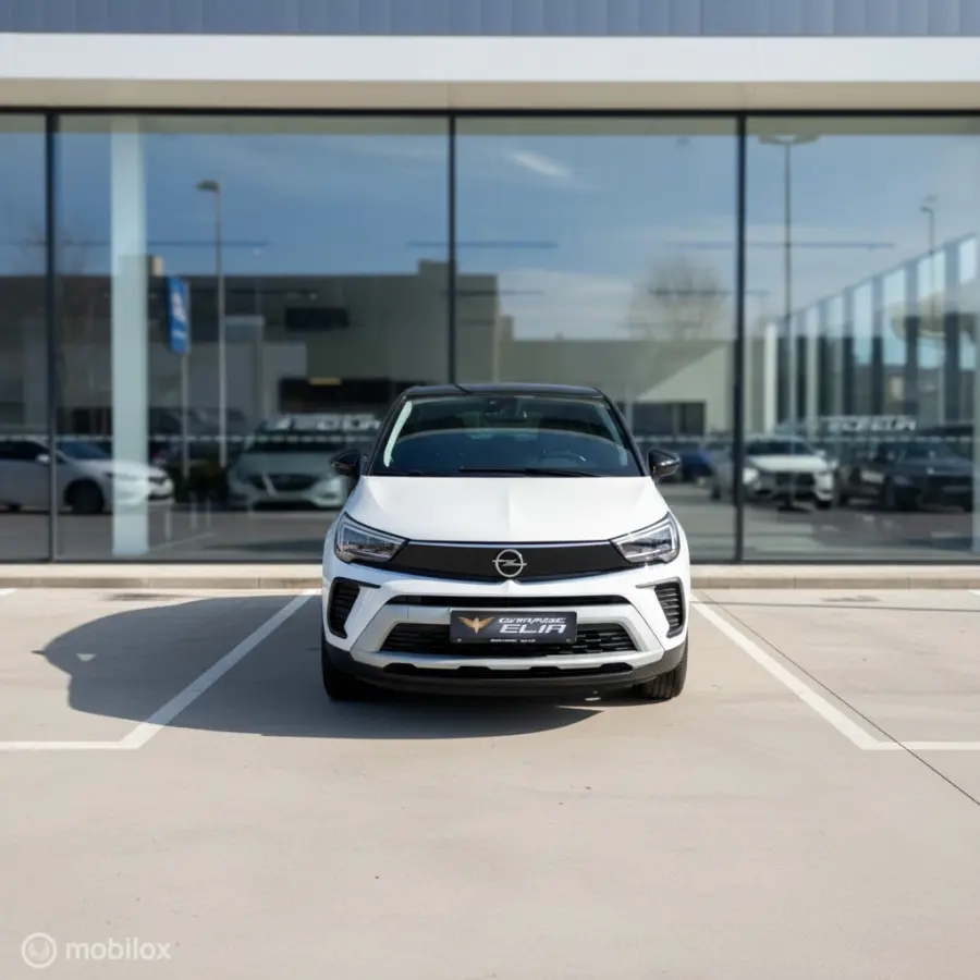 1.2 Turbo (2024) |CarPlay|Automaat|57.539 KM!