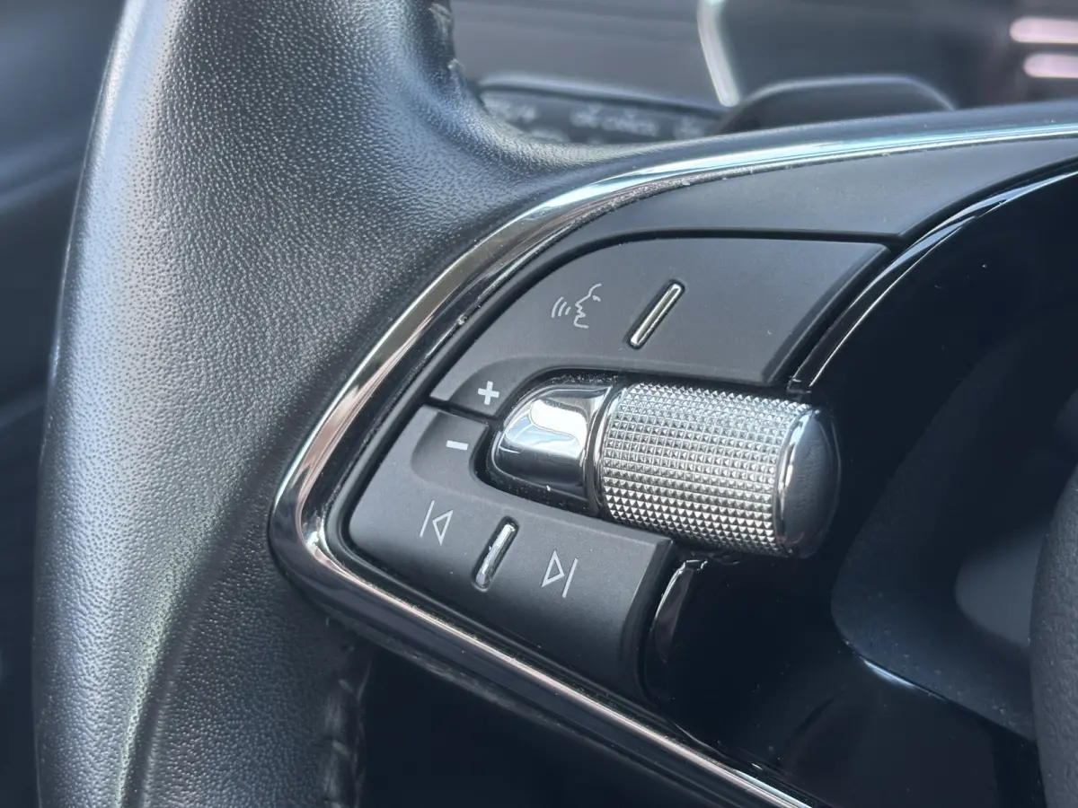 1.0 e-TSI Business Edition | Sfeerverlichting | Parkeersensoren | Apple Carplay | Lane Assist