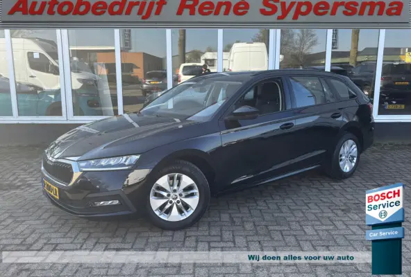 1.0 e-TSI Business Edition | Sfeerverlichting | Parkeersensoren | Apple Carplay | Lane Assist