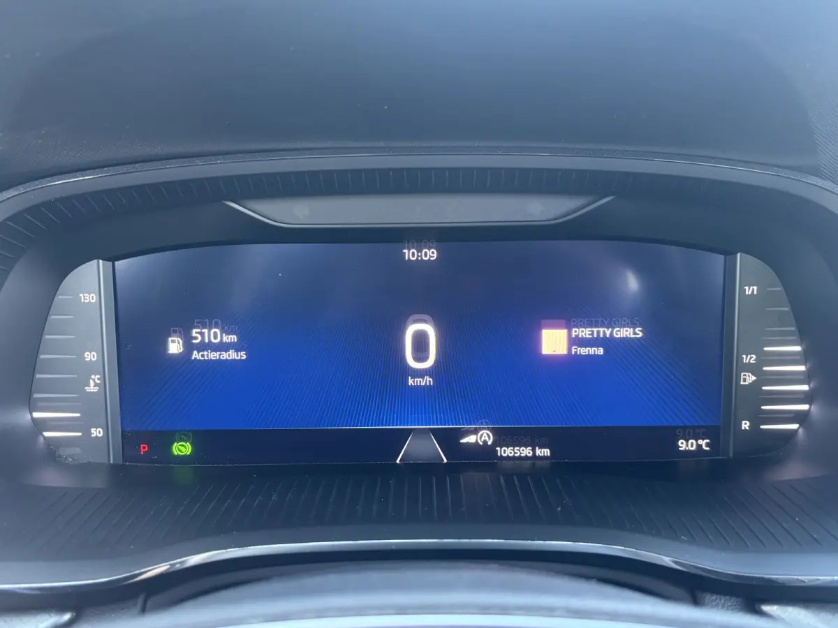 1.0 e-TSI Business Edition | Sfeerverlichting | Parkeersensoren | Apple Carplay | Lane Assist
