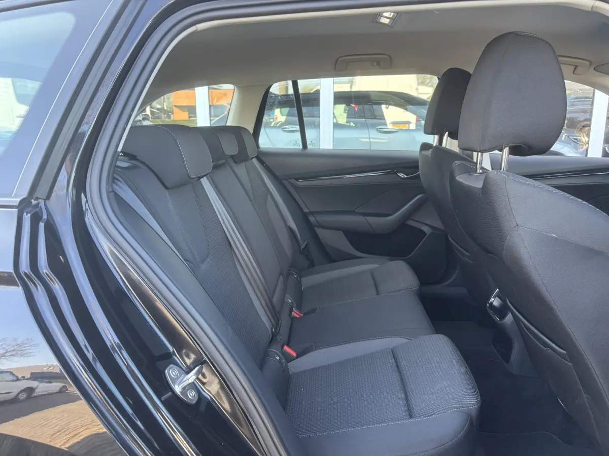 1.0 e-TSI Business Edition | Sfeerverlichting | Parkeersensoren | Apple Carplay | Lane Assist