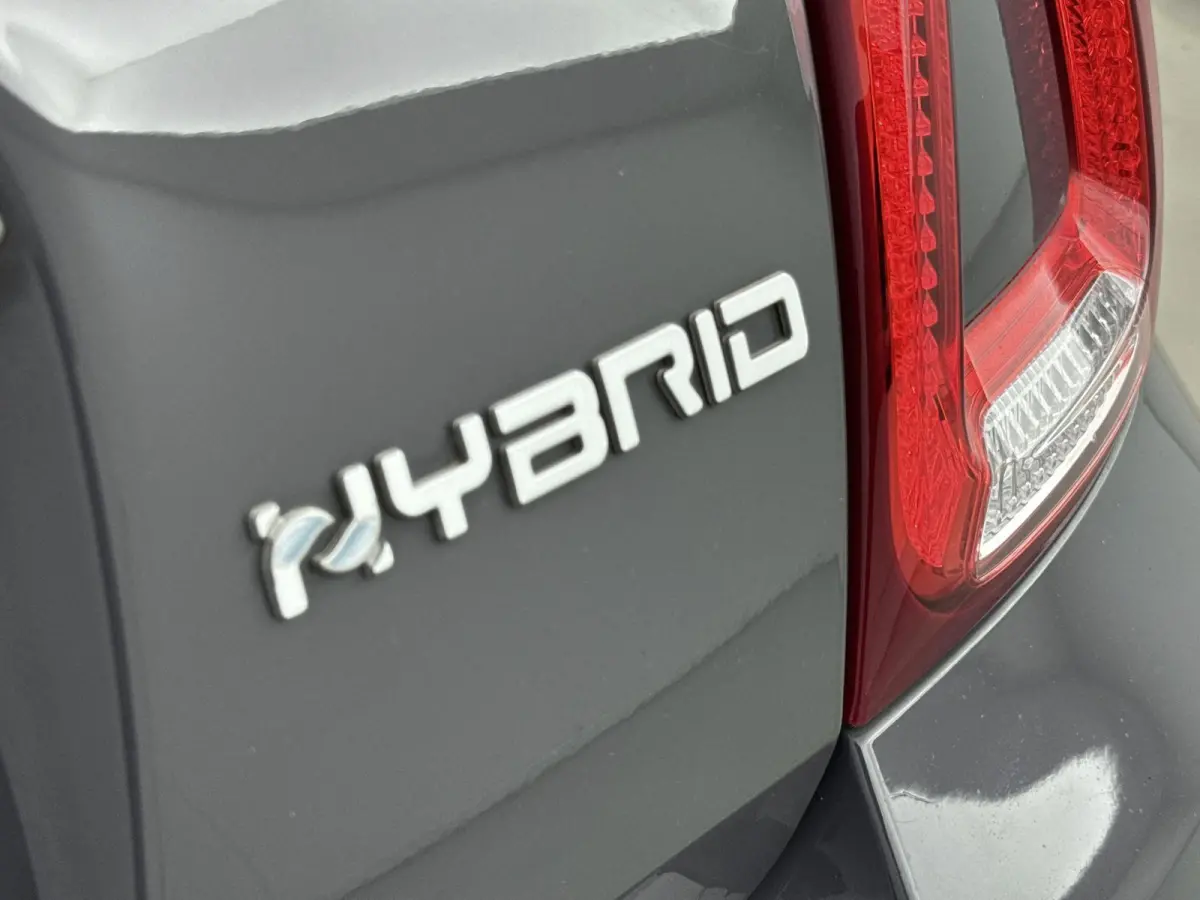 1.0 Hybrid Rockstar | PANO | Cruise Control | Airco | DAB | Bluetooth |