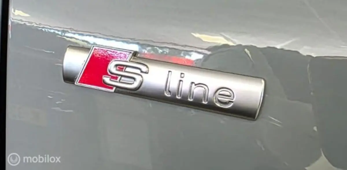 1.0 TFSI Sport Pro S-Line 5-deurs Incl.APK+Afleveringsbeurt