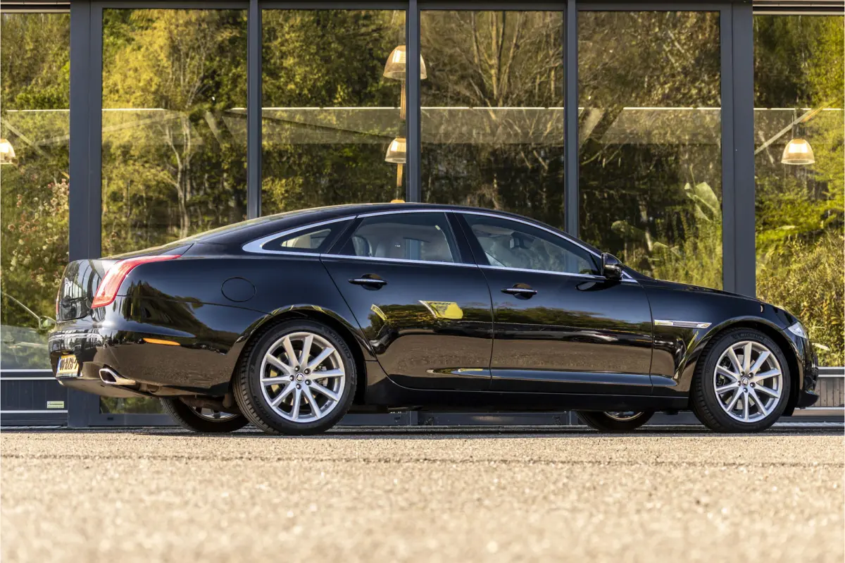 5.0 V8 Portfolio