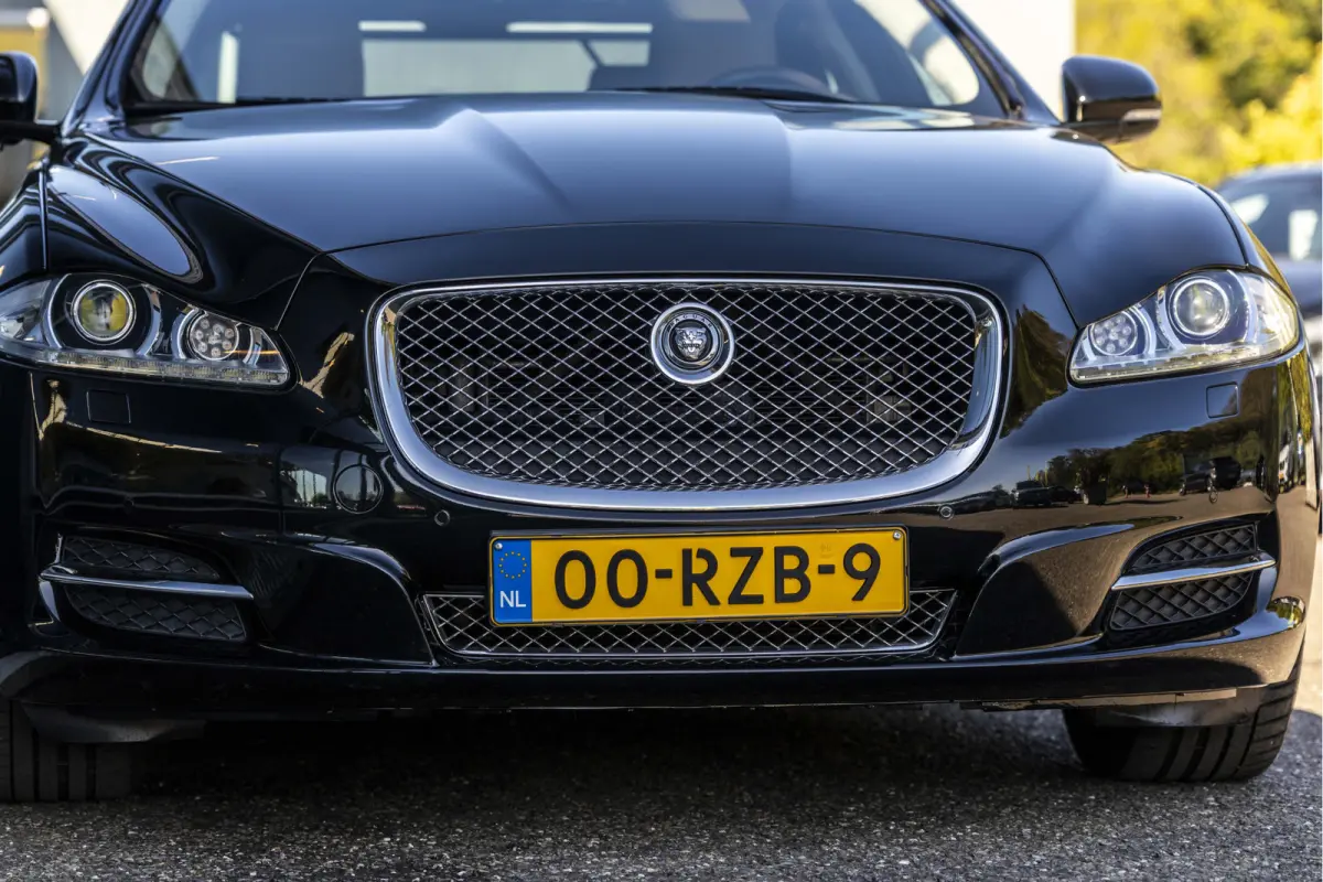 5.0 V8 Portfolio