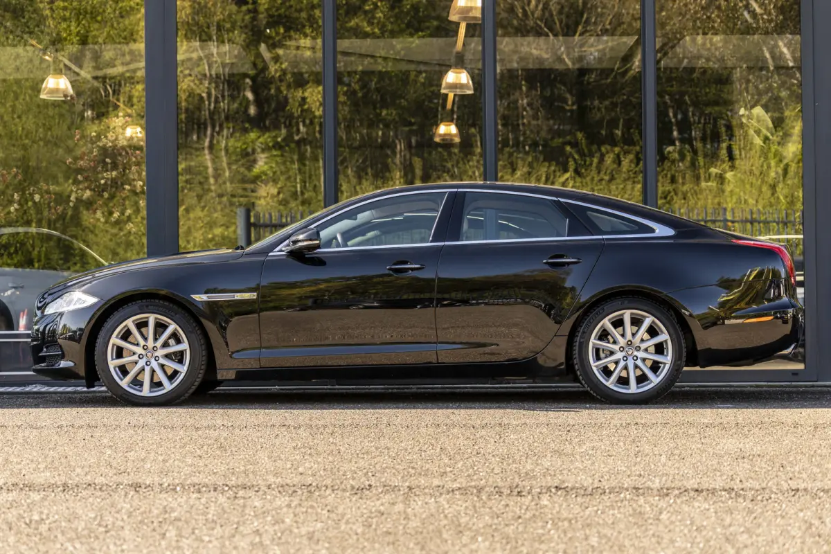 5.0 V8 Portfolio