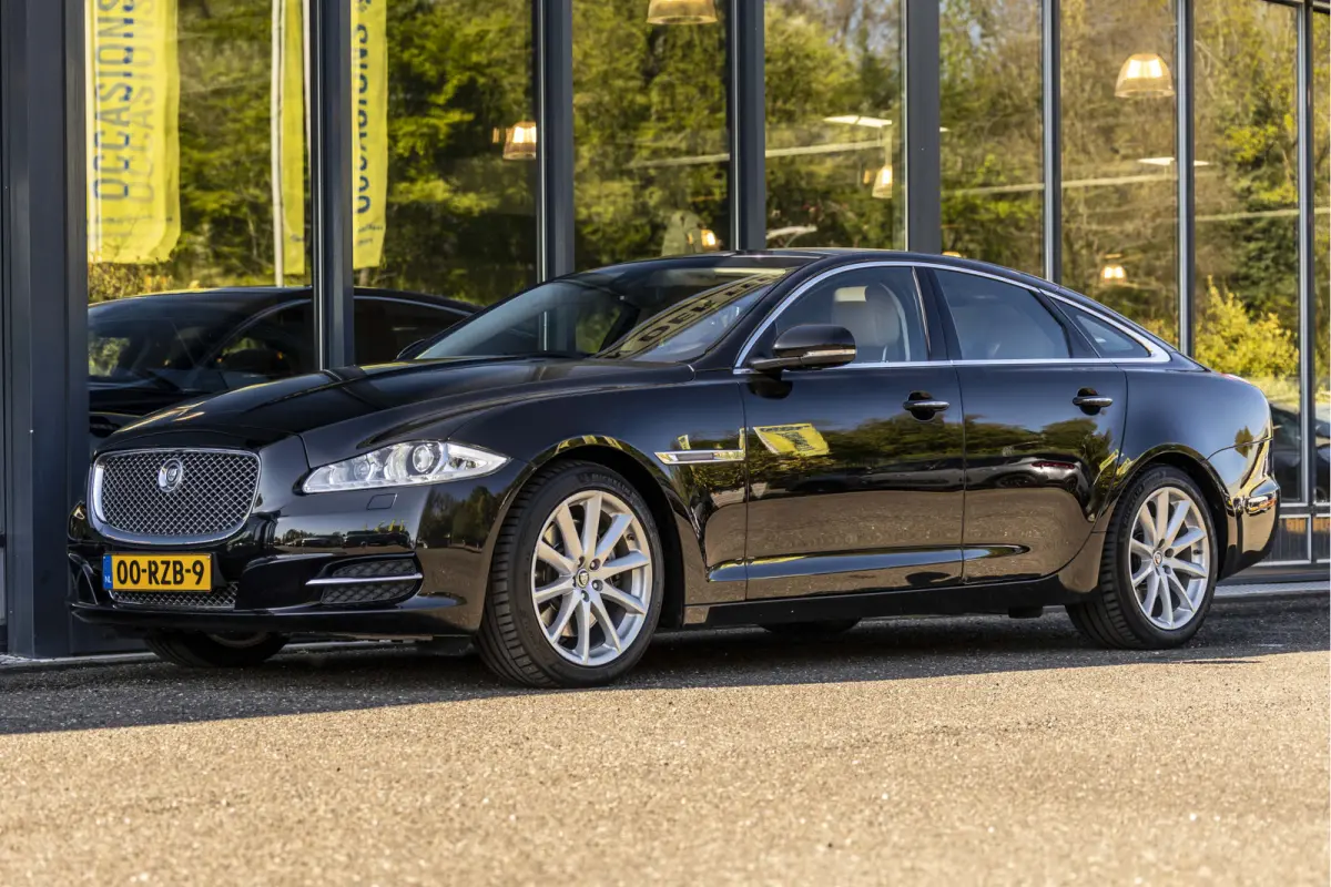 5.0 V8 Portfolio