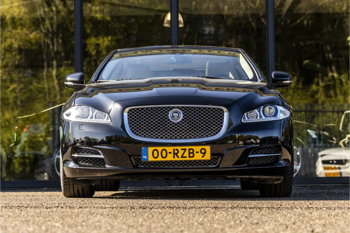 5.0 V8 Portfolio