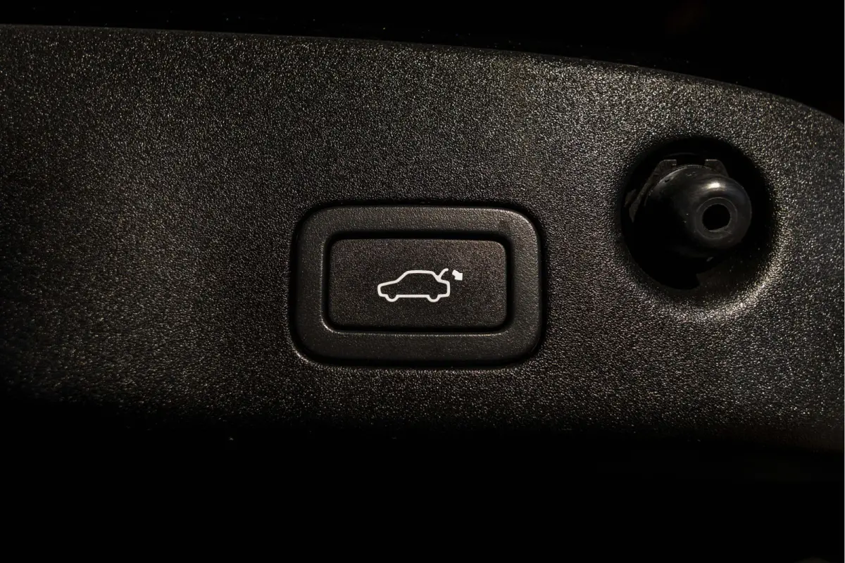 5.0 V8 Portfolio