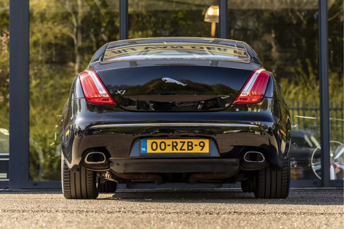 5.0 V8 Portfolio
