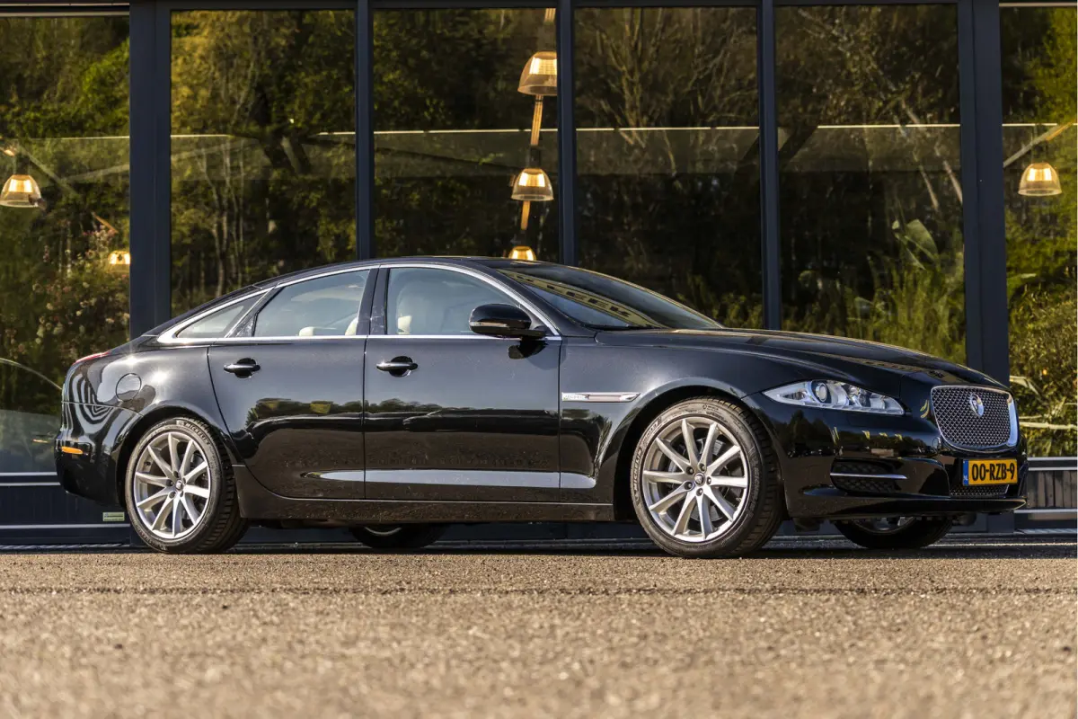 5.0 V8 Portfolio