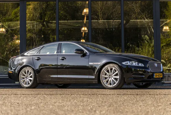 5.0 V8 Portfolio