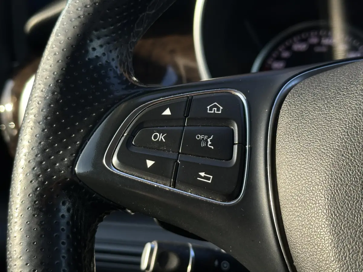 220d Lang DC Edition Navi Leer 5 persoons trekhaak